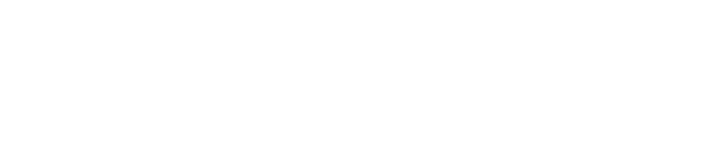 Palmer Photography Chicago
